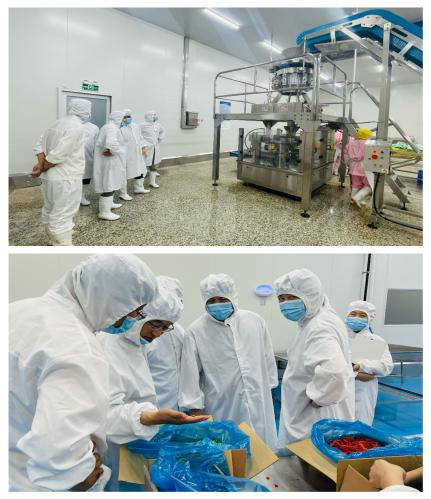 美国客户采购总监一行到访我司进行业务洽谈