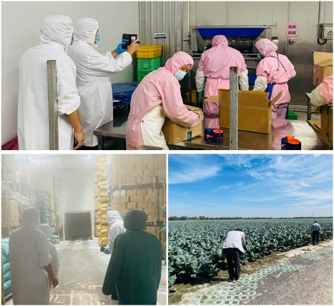 韩国客户如期进行年度访问