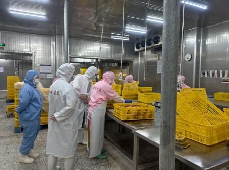 三只松鼠对我司（隆鑫羽成）开展年度验厂工作